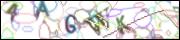 Защита от автоматических сообщений